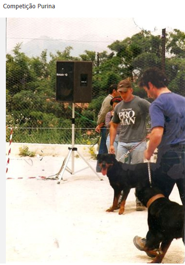 aestramento competi&ccedil;&atilde;o internacional